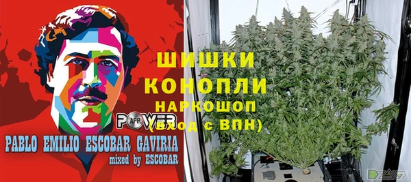 скорость Богданович