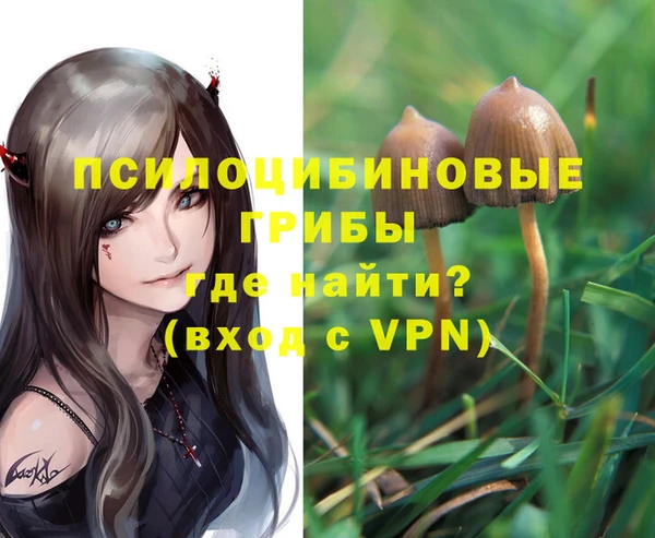 MDMA Premium VHQ Богородск