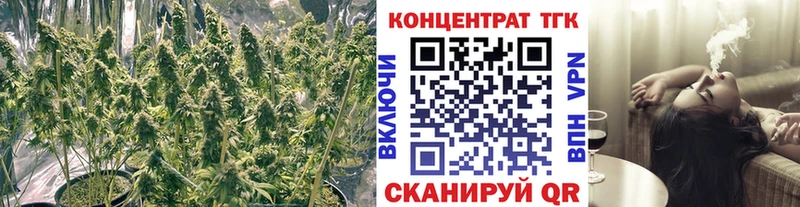 Купить где  Десногорск  ТГК вейп 